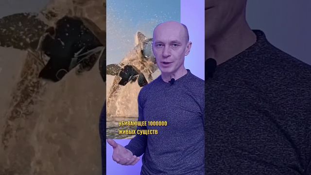 какое самое опасное животное в мире? смотреть онлайн