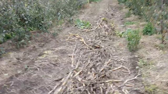 Органика для сада смотреть онлайн