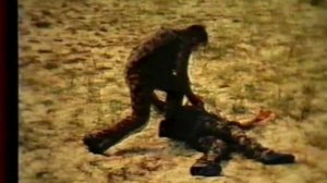 Летчик в рукопашной схватке после приземления - Часть 2