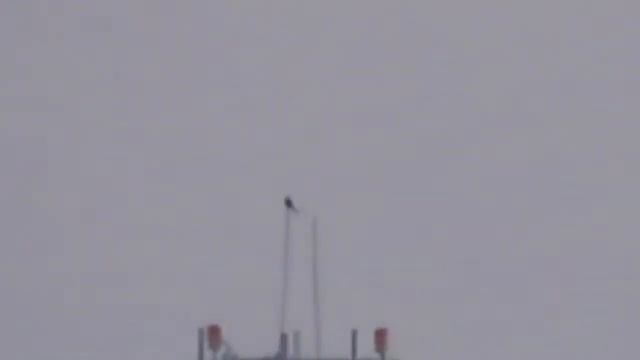 HD Zoom Test CANON SX540 HS WOUNDER full Amazing | HD Performances смотреть онлайн