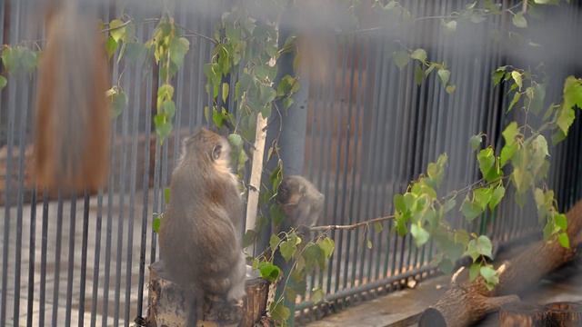 РЕГИОН ВПЕЧАТЛЕНИЙ. Омская область. Большеречье смотреть онлайн