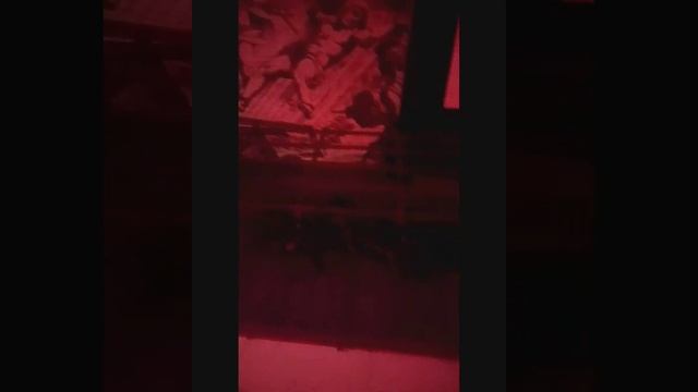 Моя поездка в Москву | Кубок России среди Любителей | Куда я сходил за это время? смотреть онлайн