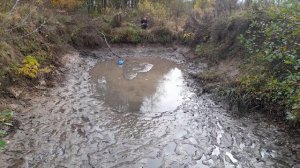 Выкачиваю воду из своего пруда помпой *погружным дренажным насосом.