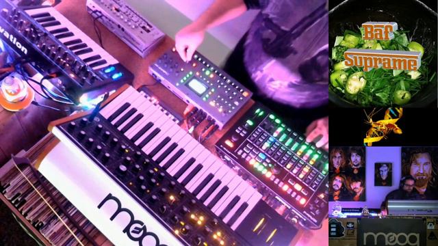 Baf Suprame: Happy Little Jam 002. Acid Techno. Moog Sub 37, Roland TB-03. Elektron Octatrack MK2. смотреть онлайн