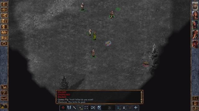 Baldur's Gate Full Playthrough - Part 1 (Archive) смотреть онлайн