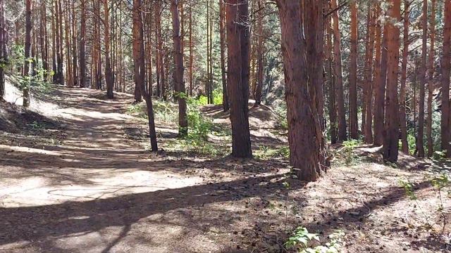 Родник на территории Курганской области, рядом с р.п. Каргаполье смотреть онлайн