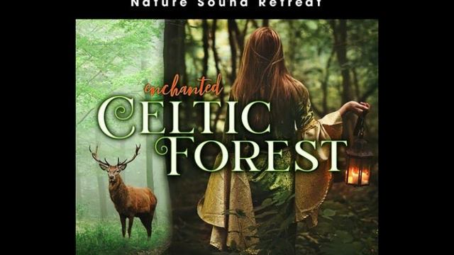 12 Magical Forest Stream with Celtic Flute Meditation Music & Distant Birds смотреть онлайн