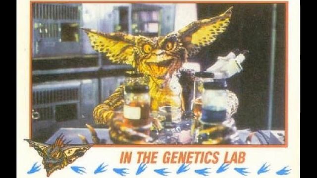 TOPPS 1990 GREMLINS 2 THE NEW BATCH CARDS смотреть онлайн