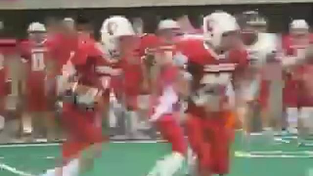 Vermillion Tanagers defeat Lennox смотреть онлайн