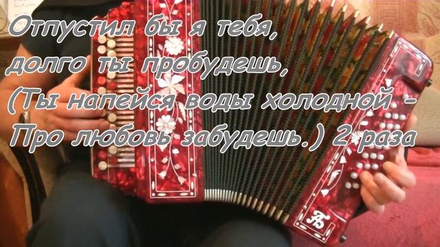 Течет речка по песочку,караоке под гармонь. смотреть онлайн
