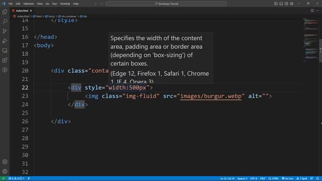 images in bootstrap or explained about how to create responsive image | bootstrap full course bangl