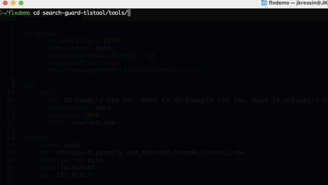 Generate TLS certificates for Elasticsearch смотреть онлайн