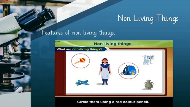 VL1 Class I Science Non Living Things week 2 смотреть онлайн