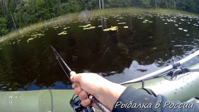 Самая уловистая блесна на щуку. Незацепляйка. Рыбалка на диком озере смотреть онлайн