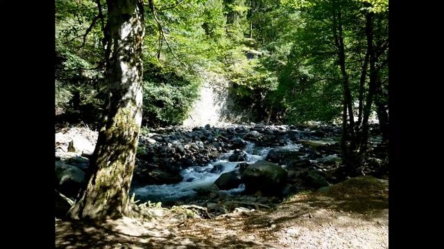 Borjomi.Georgia/Боржоми_воды_Грузии_2014 смотреть онлайн
