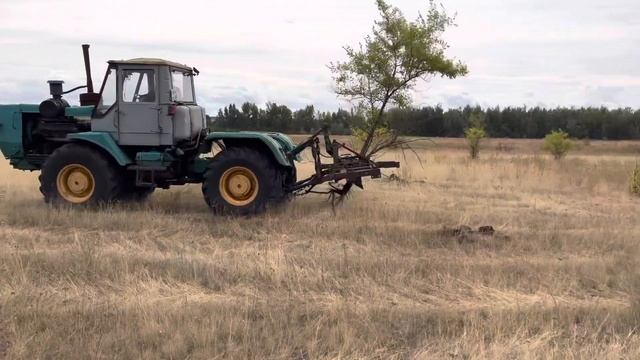 Выкорчёвка поля на тракторе т150 с самодельным приспособлением смотреть онлайн