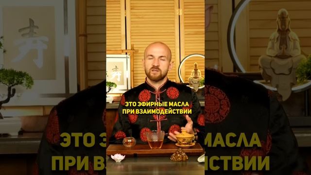 Как определить качество чая ? #чай #пуэр #мудрость #китайскийчай #tea #茶トラ смотреть онлайн