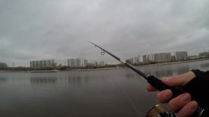 Graphiteleader Vivo Prototype Nuovo 842M