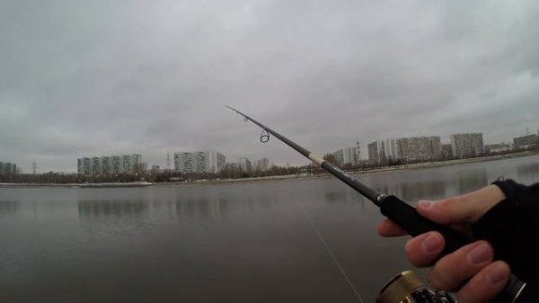 Graphiteleader Vivo Prototype Nuovo 842M