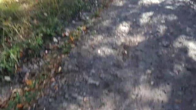С колело от Панчарево - вр. Бачун - Кокаляне смотреть онлайн