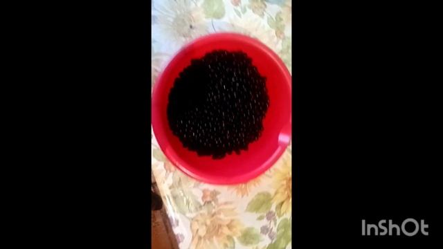 Уборка и чистка без стресса и напряжения