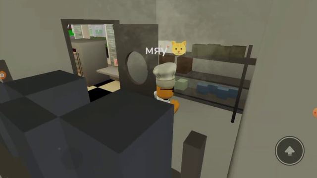 Шлёпа научит готовить быстро пельмени. Каракал🐱🐱🐱 смотреть онлайн