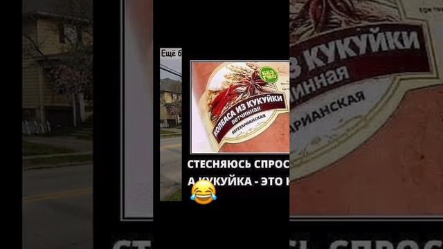 #meme #memes смотреть онлайн