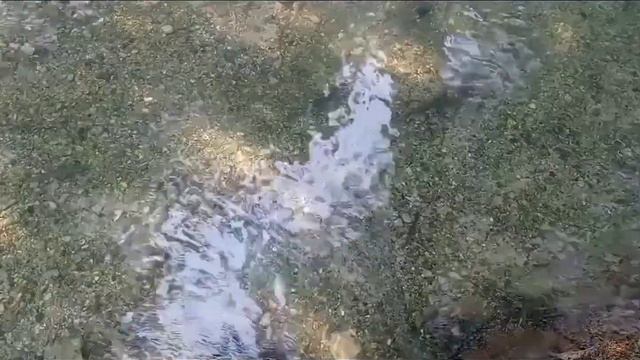 форелевое хозяйство Абхазия. Часть 2 смотреть онлайн