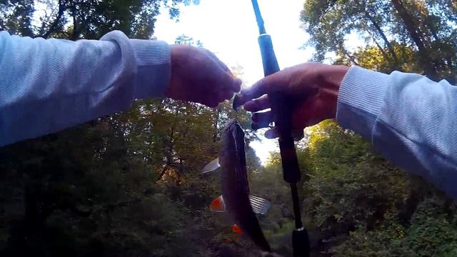 Smith AR Spinner, Reins ,Jackall - Лесная река! смотреть онлайн