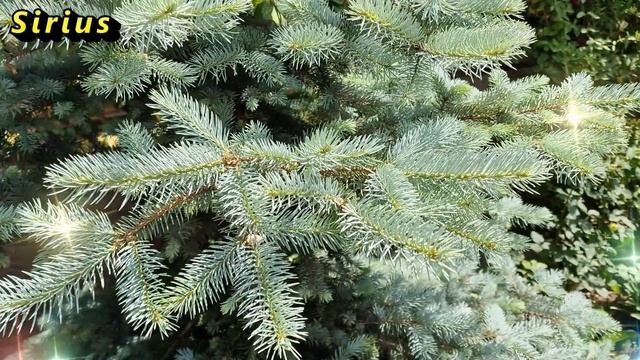 Сделай это, чтоб избавиться от старых фотографий смотреть онлайн