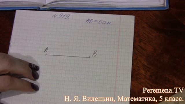 Математика, Виленкин 5 класс Задача 919 смотреть онлайн
