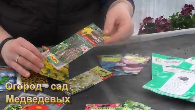 Какие цветы я планирую посеять в начале апреля смотреть онлайн