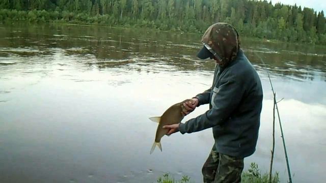 О снастях №7 - Фидер Salmo TAIFUN смотреть онлайн