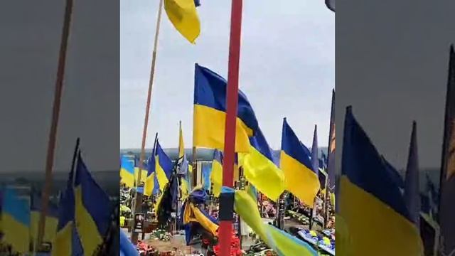 США считают гибель украинцев в ходе контрнаступления характерной частью конфликта, о которой Вашингт смотреть онлайн