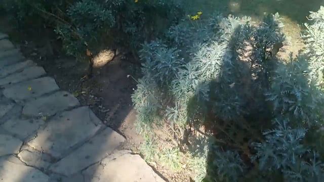 Алания 2019. Прогулка на яхте. День Памяти Ататюрка| Polat Alanya жизнь в Турции смотреть онлайн