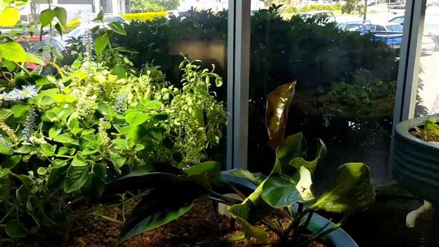 Aqua Gardening - Here to help you bring your garden dreams to life смотреть онлайн