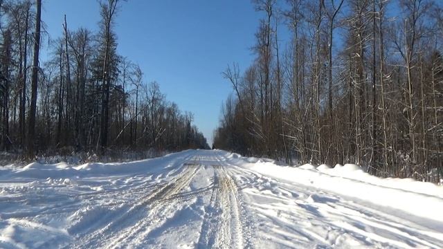 6. 1. 19 Саров. Зима Лыжники и не только. смотреть онлайн