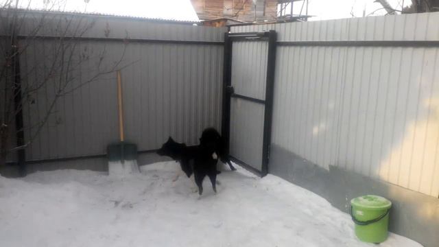 Каратыч помогает Крохе выздоравливать смотреть онлайн