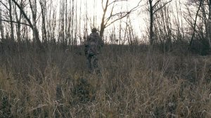 Охота с мелкашкой на лису. Лисья нора