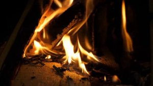 sguat for Days viral global