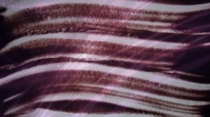 Витольд Петровский - Я тебя рисую