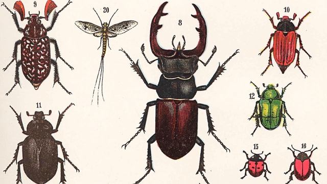 56: More on debugging смотреть онлайн