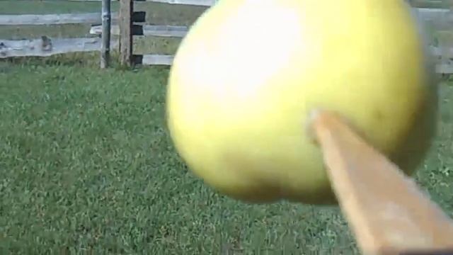 Кормим лошадку яблоками смотреть онлайн