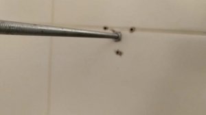 Ванная. Как сделать своими руками угловой карниз.