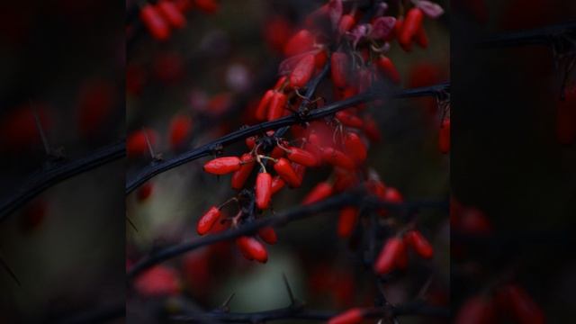 Исцеление. Медитация смотреть онлайн