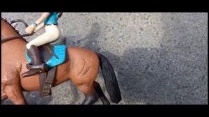 Домашняя лошадь против дикой лошади. лошади шляйх.