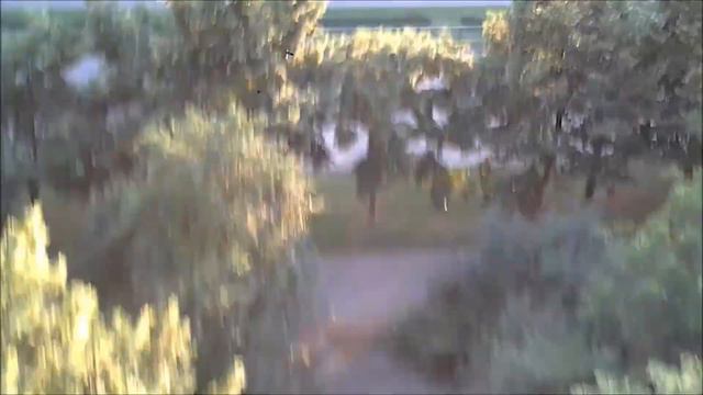 VLOG:Кидаем водяные бомбочки!!! смотреть онлайн