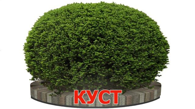 Развивающие карточки для детей. В парке смотреть онлайн