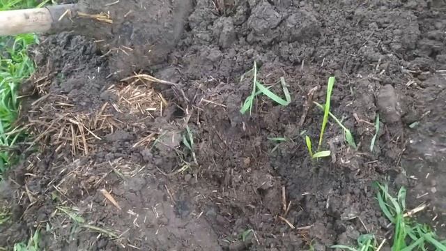 Рыба выпрыгивает из воды Идем на рыбалку с удочкой смотреть онлайн