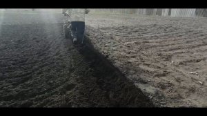 Лучший способ посадки картофеля мотоблоком
